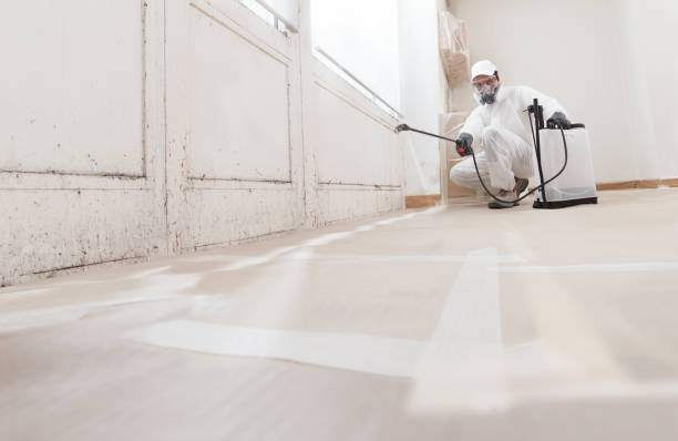 24/7 Emergency Mold Testing experts in Jamison, PA