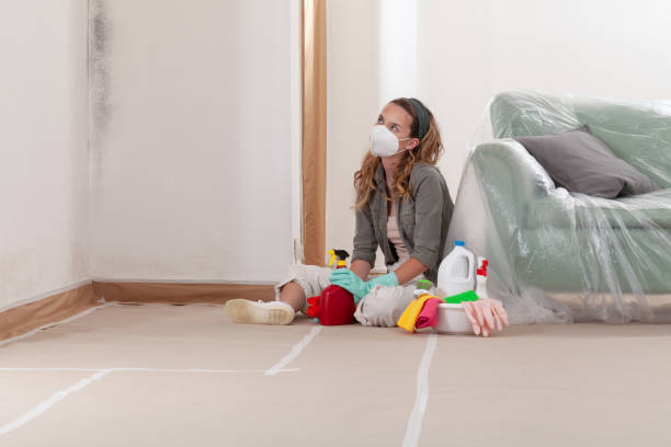 Trusted Mold Testing service in Jamison, PA - WQB Mold Removal